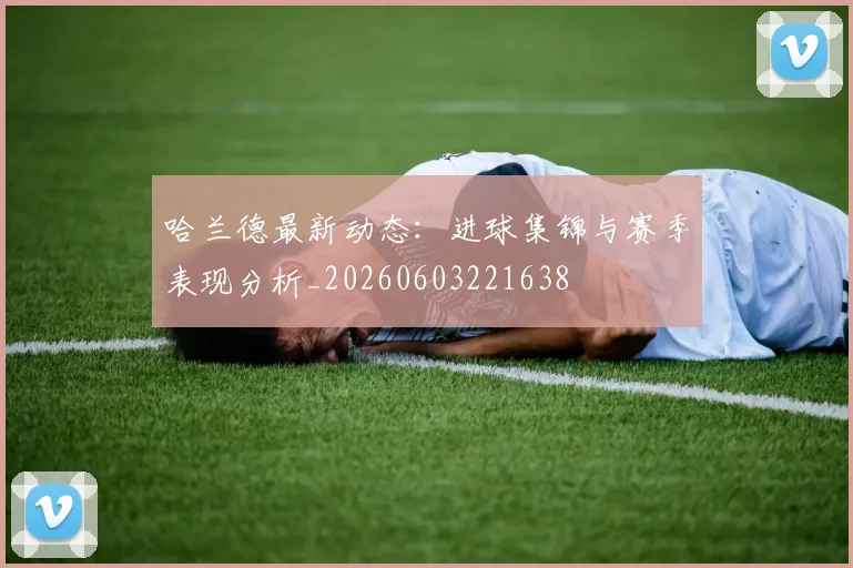 哈兰德最新动态:进球集锦与赛季表现分析_20260603221638